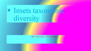 Insets taxonomic diversity BY DEASIA TUCKER Blattaria Isoptera