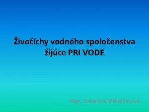 ivochy vodnho spoloenstva ijce PRI VODE Mgr Katarna