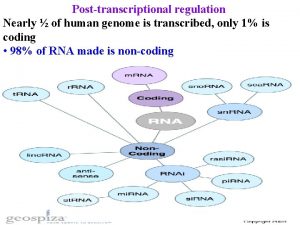 Posttranscriptional regulation Nearly of human genome is transcribed