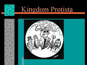 Kingdom Protista Protists u Protists are all around