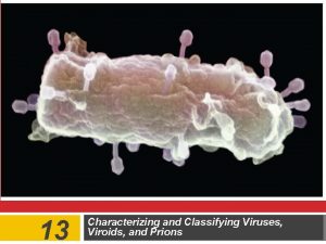 13 Characterizing and Classifying Viruses Viroids and Prions