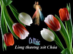 Lng thng xt Cha Sng tc Phm Hong