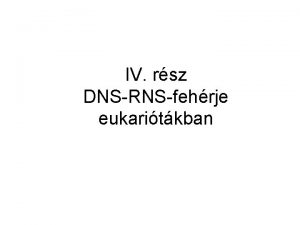 IV rsz DNSRNSfehrje eukaritkban Tartalomjegyzk 6 Eukarita transzkripci