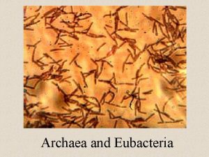 Archaea and Eubacteria How do we first classify