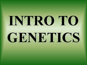 INTRO TO GENETICS GENETICS the study of how