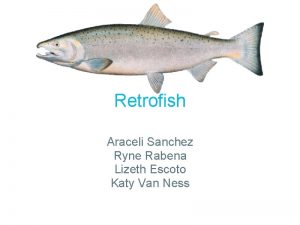 Retrofish Araceli Sanchez Ryne Rabena Lizeth Escoto Katy