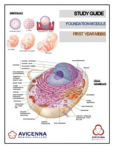 EMBRYOLOGY STUDY GUIDE FOUNDATION MODULE FIRST YEARMBBS CELL