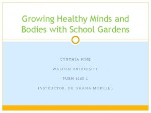 Growing Healthy Minds and Bodies with School Gardens