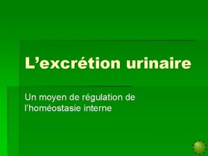 Lexcrtion urinaire Un moyen de rgulation de lhomostasie