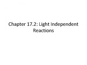 Chapter 17 2 Light Independent Reactions Lightindependent reactions