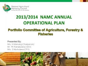 20132014 NAMC ANNUAL OPERATIONAL PLAN Portfolio Committee of