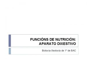FUNCINS DE NUTRICIN APARATO DIXESTIVO BioloxaXeoloxa de 1