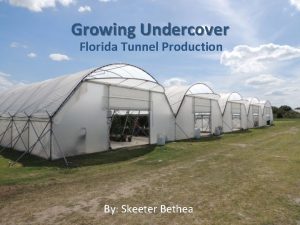 Growing Undercover Florida Tunnel Production By Skeeter Bethea