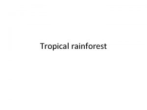 Tropical rainforest Climate Tropical rainforests are always humid