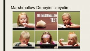 Marshmallow Deneyini zleyelim Z DSPLN Z DSPLN NEDR