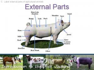 C Label external parts of agricultural animals External