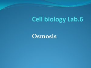 Cell biology Lab 6 Osmosis Osmosis The diffusion