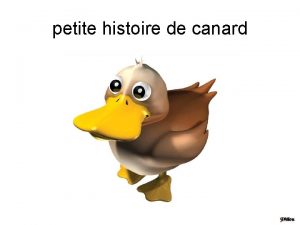 petite histoire de canard 3 hommes meurent dans