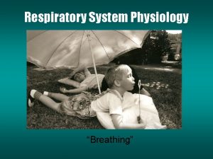 Respiratory System Physiology Breathing Pulmonary Ventilation Inspiration in