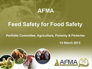 AFMA Feed Safety for Food Safety Portfolio Committee