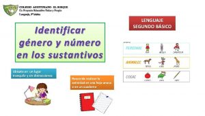 Identificar gnero y nmero en los sustantivos Ubcate