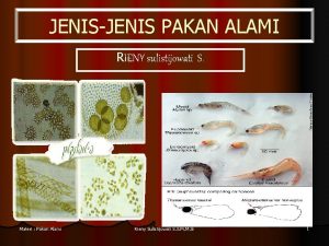 JENISJENIS PAKAN ALAMI RIENY sulistijowati S Materi Pakan