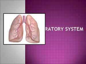 RESPIRATORY SYSTEM RESPIRATORY SYSTEM Function supply O 2