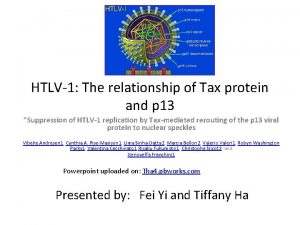HTLV1 The relationship of Tax protein and p