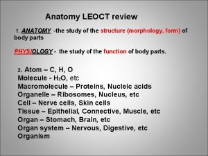 Anatomy LEOCT review 1 ANATOMY the study of