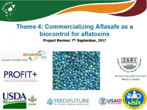 Theme 4 Commercializing Aflasafe as a biocontrol for
