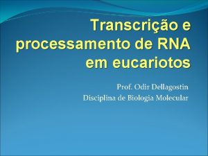 Transcrio e processamento de RNA em eucariotos Prof