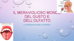 IL MERAVIGLIOSO MONDO DEL GUSTO E DELLOLFATTO LA