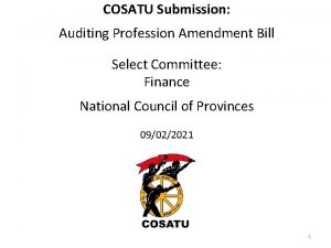 COSATU Submission Auditing Profession Amendment Bill Select Committee
