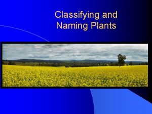 Classifying and Naming Plants Next Generation Science Common