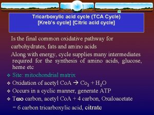 Tricarboxylic acid cycle TCA Cycle Krebs cycle Citric