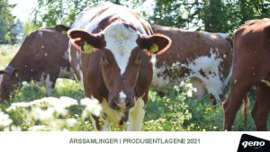 RSSAMLINGER I PRODUSENTLAGENE 2021 Regnskap 2020 Semintilslutningen i