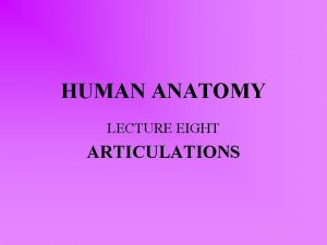 HUMAN ANATOMY LECTURE EIGHT ARTICULATIONS ARTICULATIONS or JOINTS