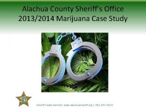 Alachua County Sheriffs Office 20132014 Marijuana Case Study