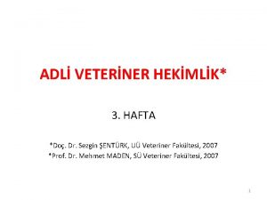 ADL VETERNER HEKMLK 3 HAFTA Do Dr Sezgin