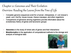Chapter 21 Genomes and Their Evolution Overview Reading