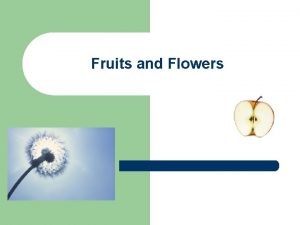 Fruits and Flowers Vocabulary Terms l l l