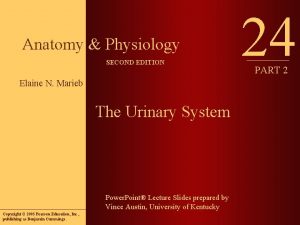 Anatomy Physiology SECOND EDITION Elaine N Marieb The