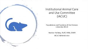 Institutional Animal Care and Use Committee IACUC Foundations