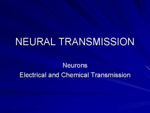 NEURAL TRANSMISSION Neurons Electrical and Chemical Transmission Neurons