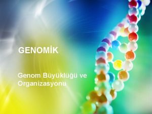 GENOMK Genom Bykl ve Organizasyonu GENOMLAR Bireyler olarak