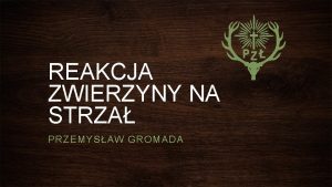 REAKCJA ZWIERZYNY NA STRZA PRZEMYSAW GROMADA STRZA KOMOROWY