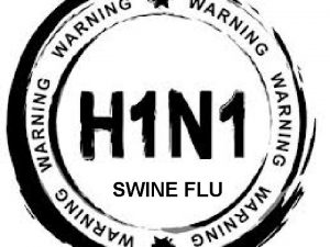 A PANDEMIC FLU SWINE FLU WHAT IS SWINE