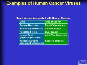 Examples of Human Cancer Viruses Some Viruses Associated
