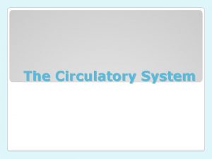 The Circulatory System The Function of the circulatory