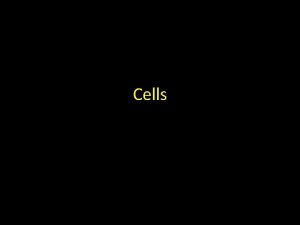 Cells Cell Basics Many sizes and shapes All